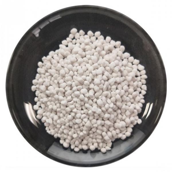 China Supply Agriculture Fertilizer Ammonium Sulfate 50kg Bag