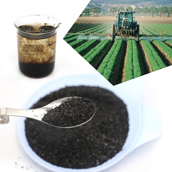 Fulvic Acid Organic Fertilizer in Agricultural Chemicals