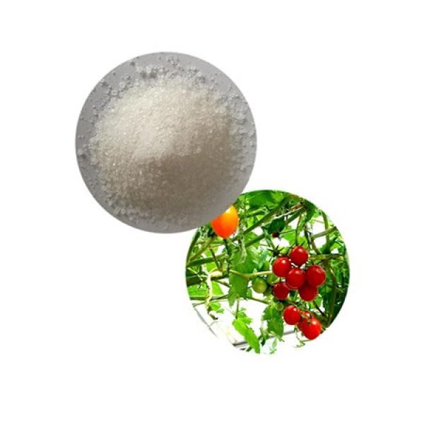 "Boteng" Calcium Ammonium Nitrate Fertilizer-Can